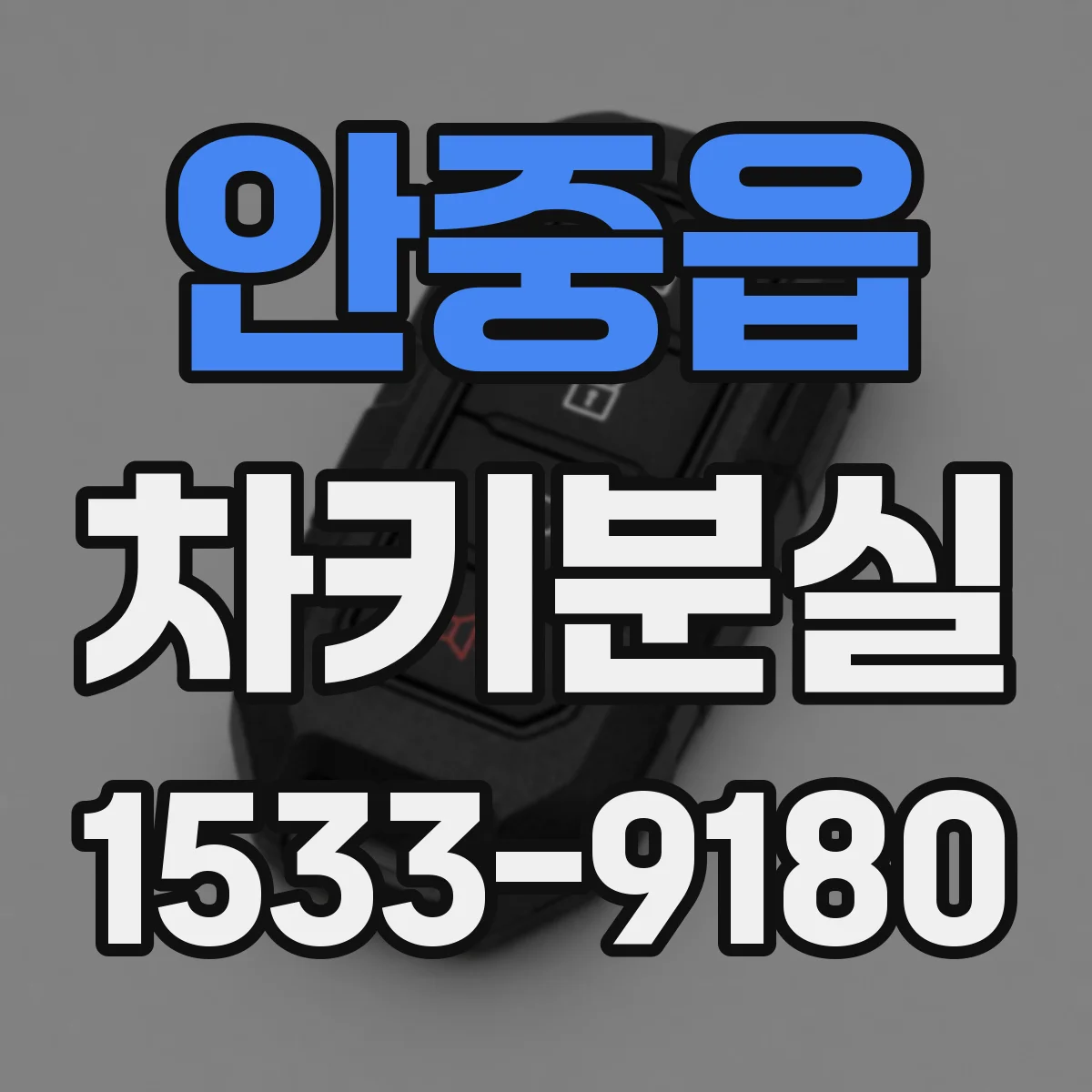안중읍 차키분실