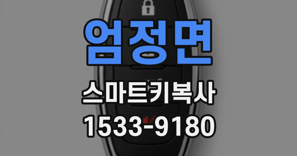 엄정면 스마트키복사