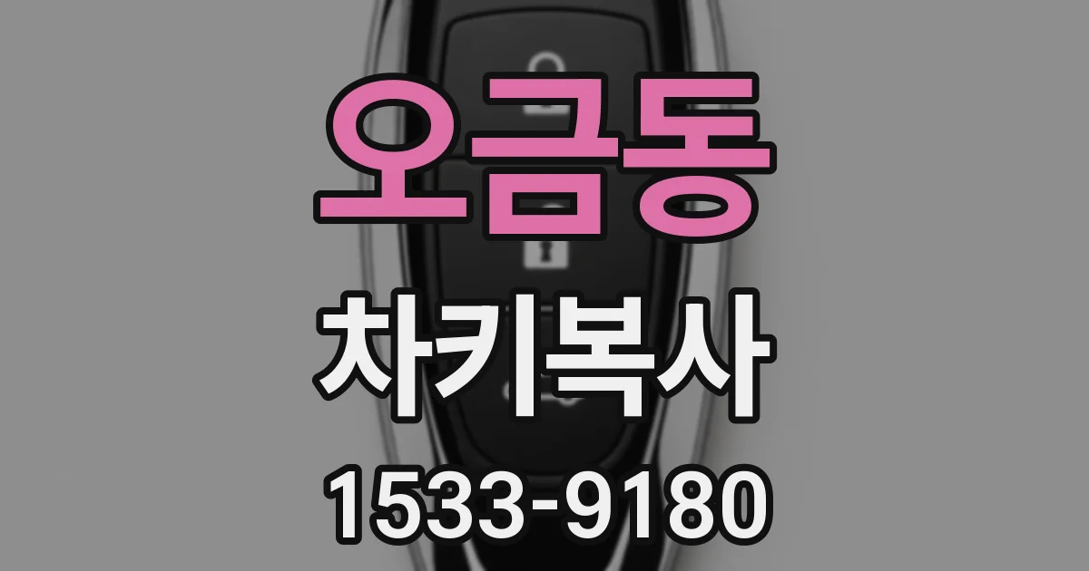 오금동 차키복사