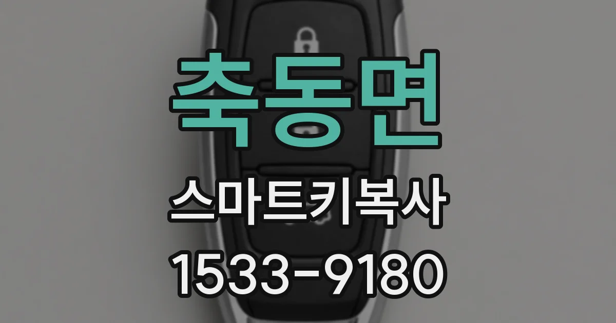 축동면 스마트키복사