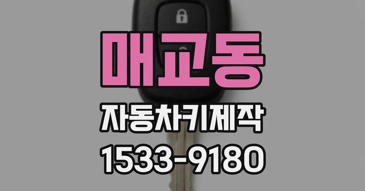 매교동 자동차키제작