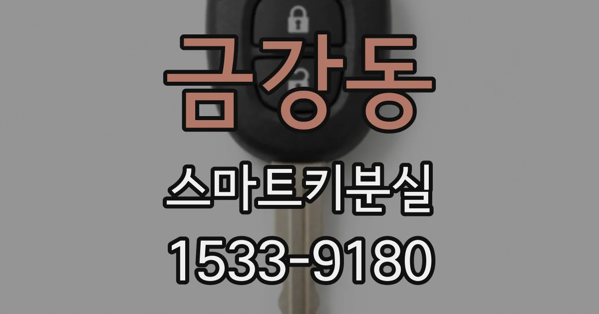 금강동 스마트키분실