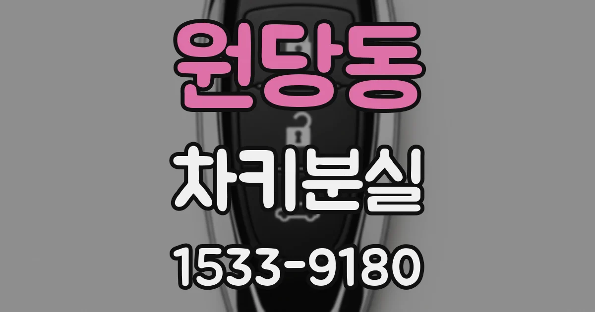 원당동 차키분실