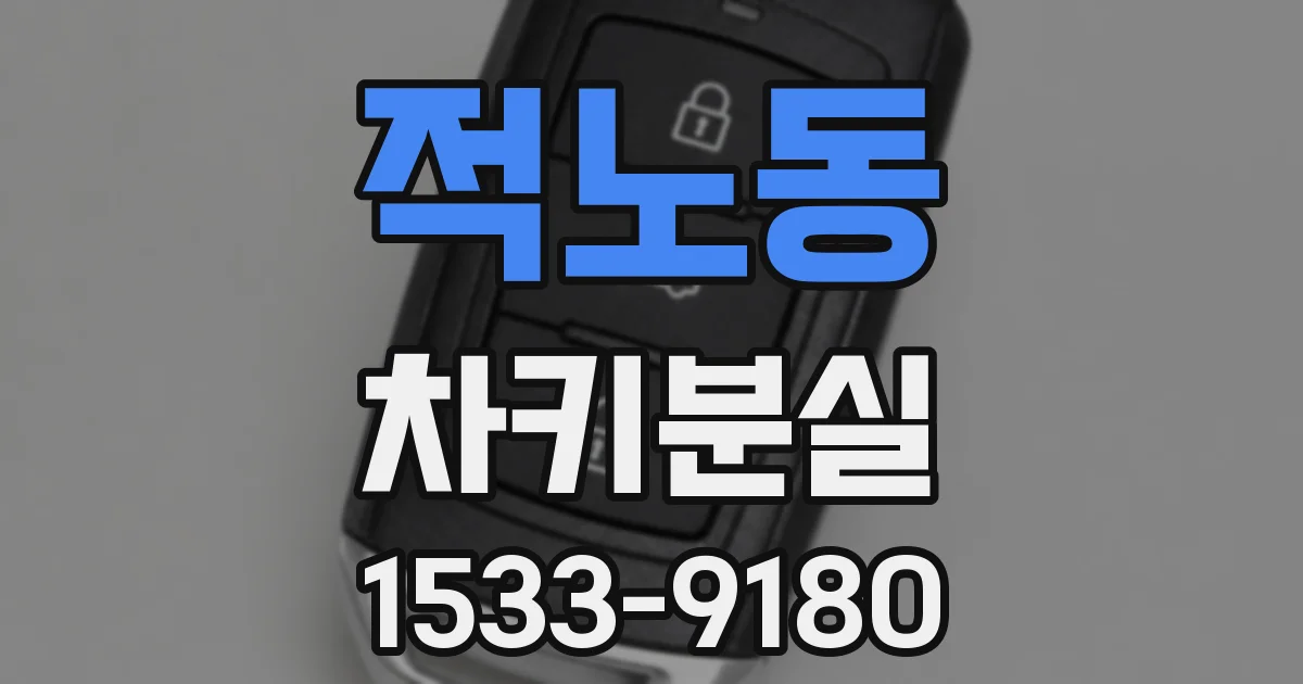 적노동 차키분실