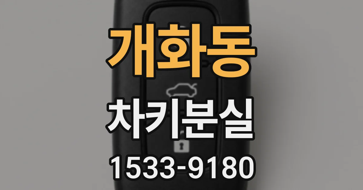 개화동 차키분실