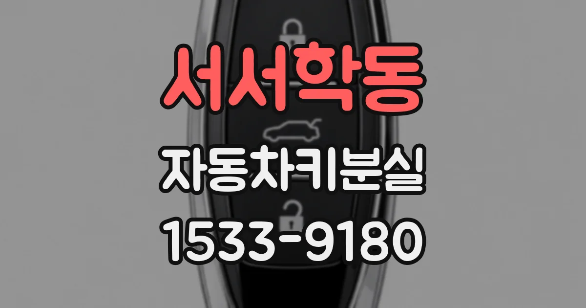 서서학동 자동차키분실