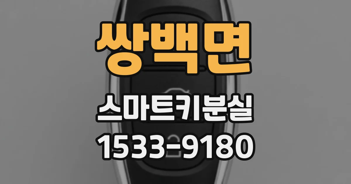 쌍백면 스마트키분실