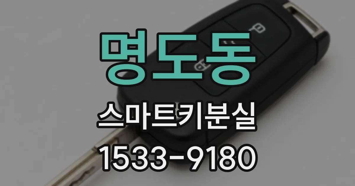 명도동 스마트키분실