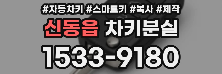 신동읍 차키분실