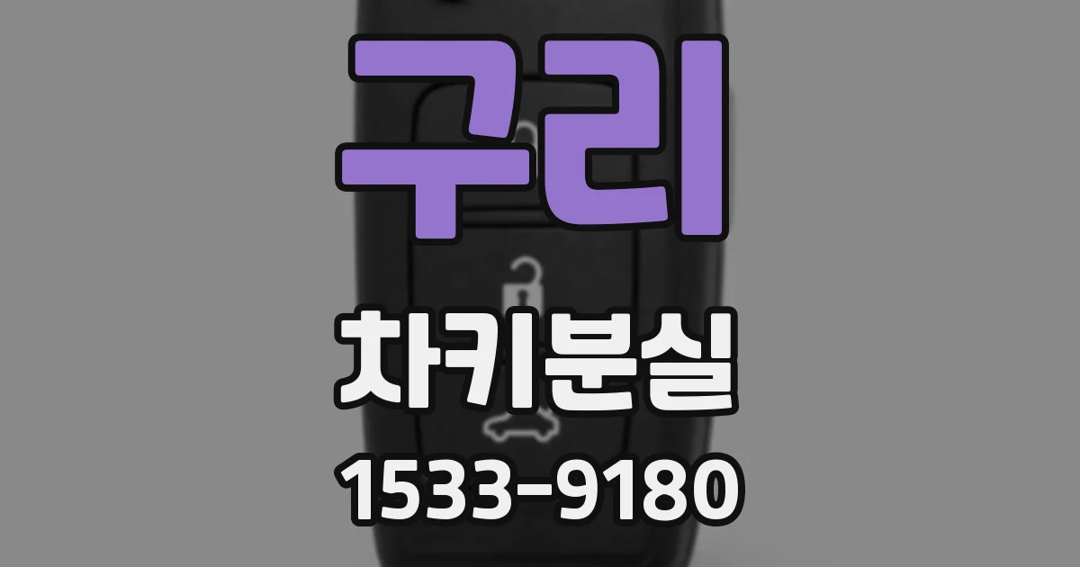 구리 차키분실