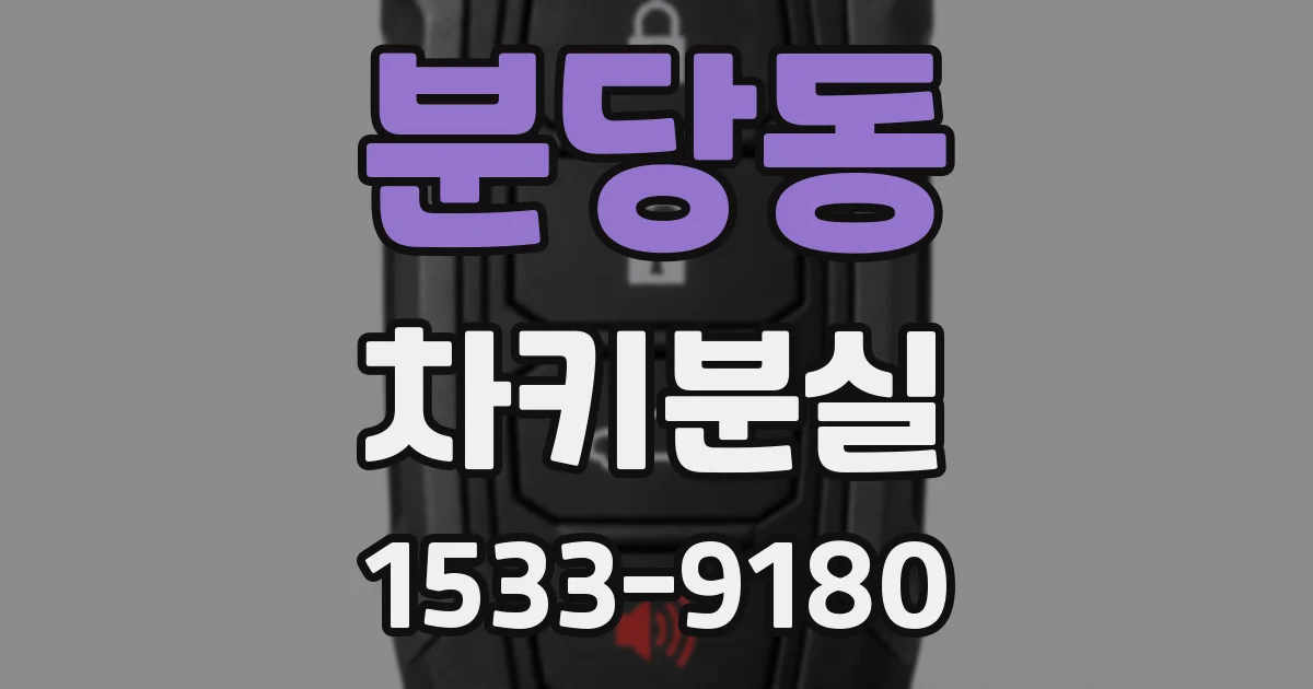 분당동 차키분실