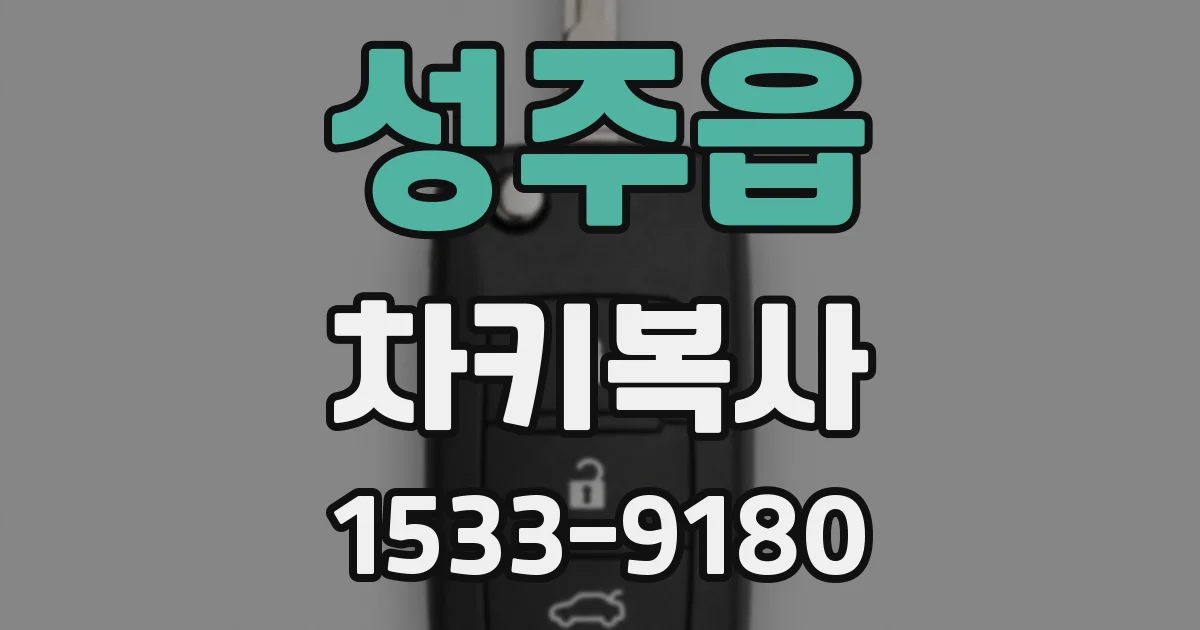 성주읍 차키복사