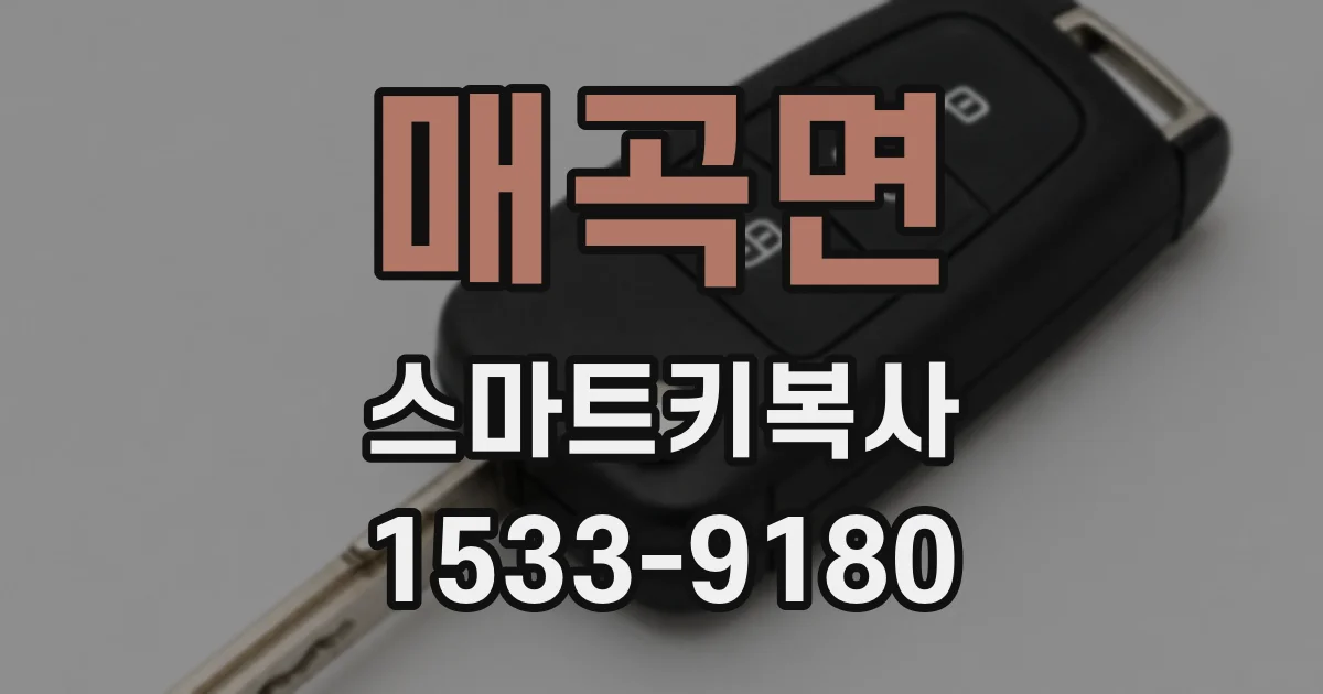 매곡면 스마트키복사