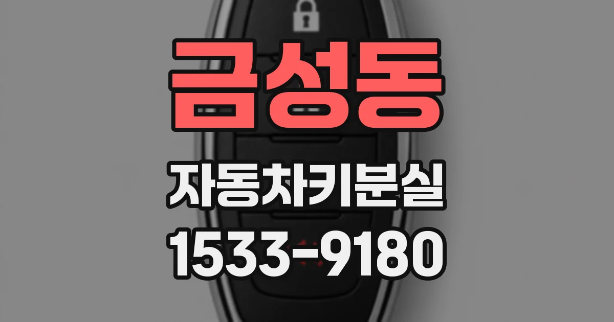 금성동 자동차키분실