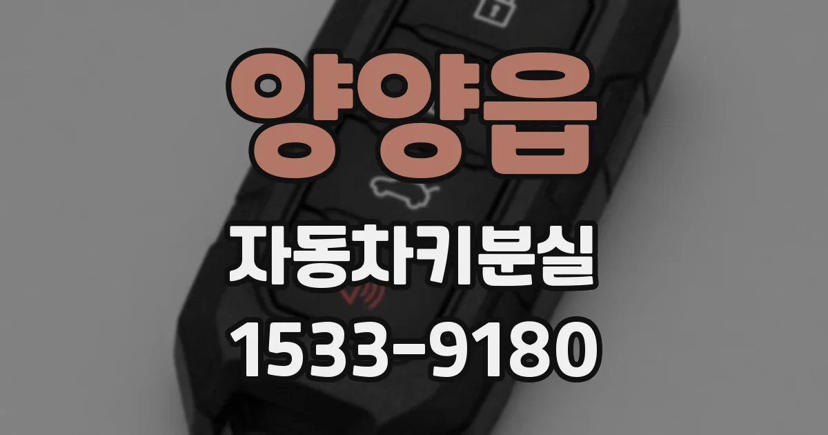 양양읍 자동차키분실