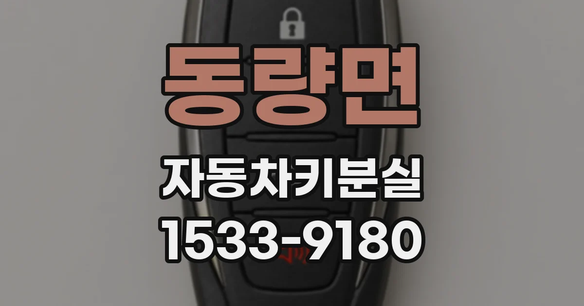 동량면 자동차키분실