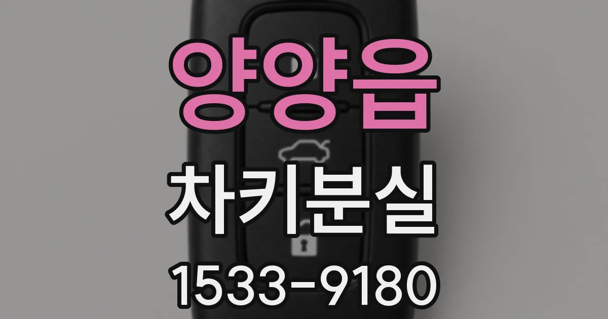 양양읍 차키분실