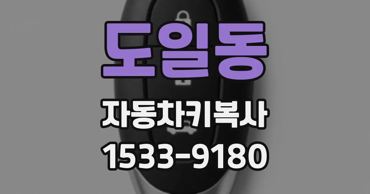 도일동 자동차키복사