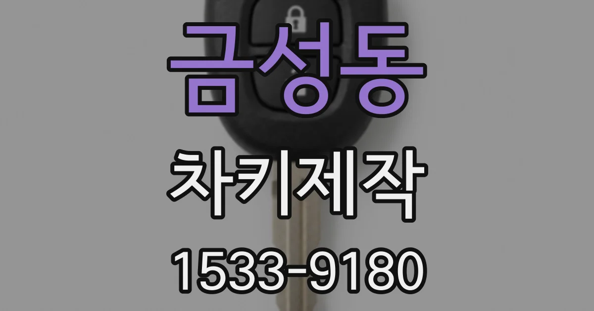 금성동 차키제작
