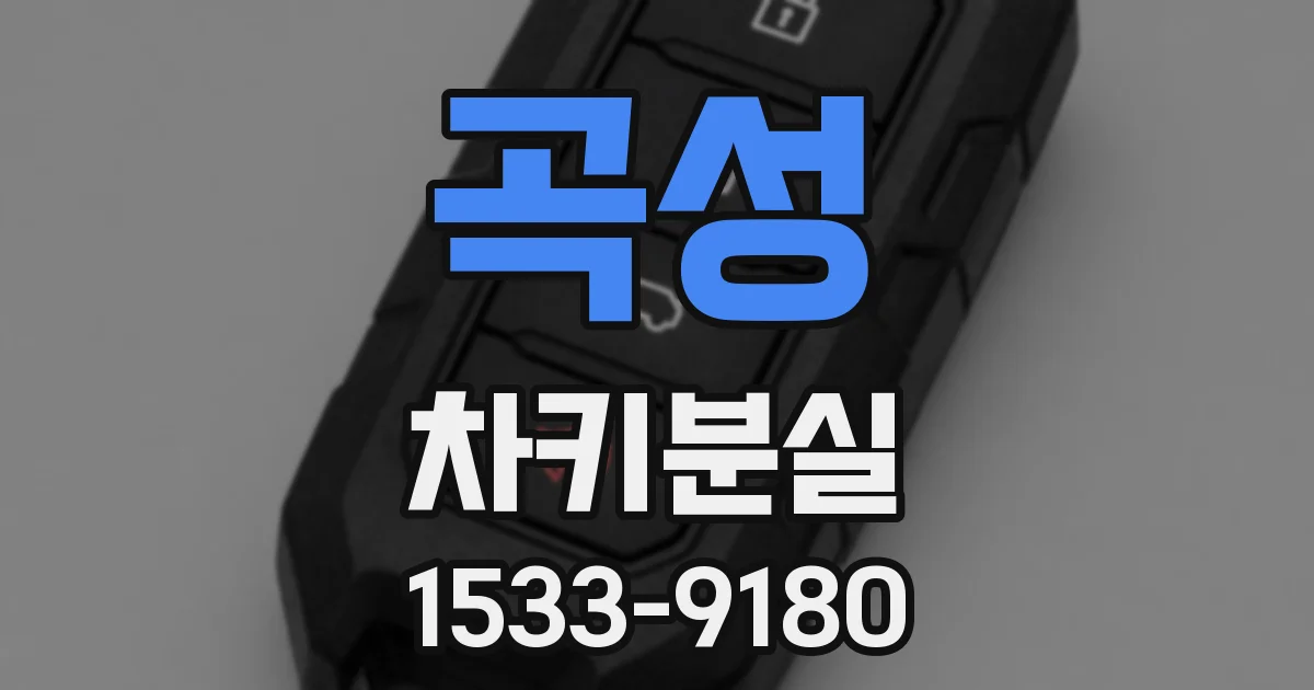 곡성 차키분실