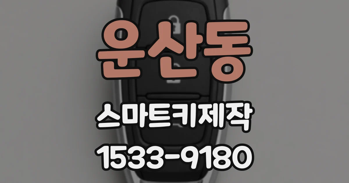 운산동 스마트키제작