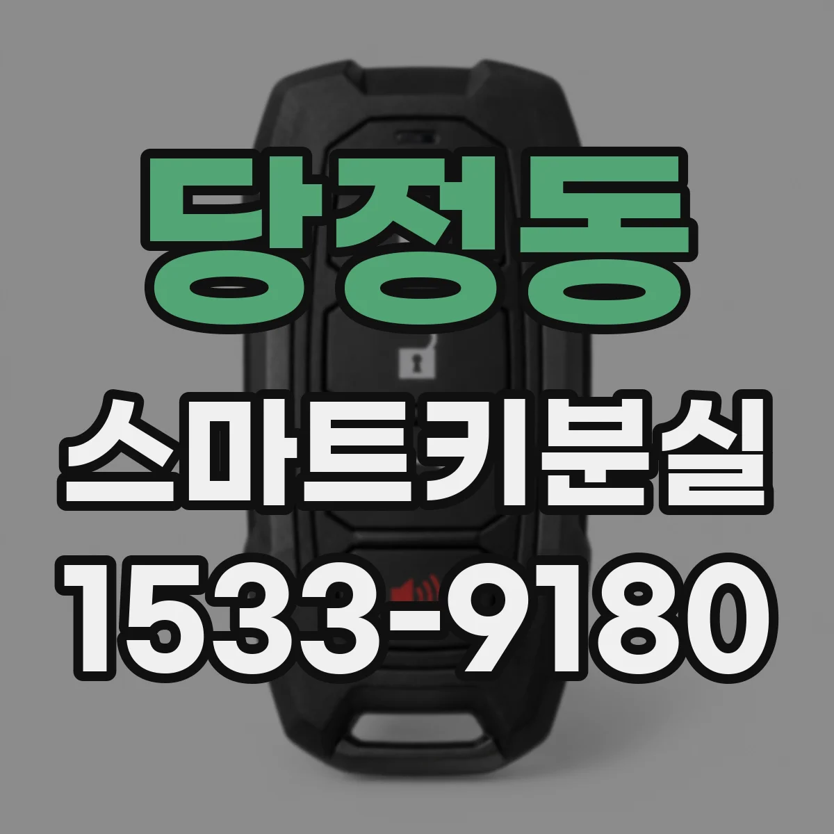 당정동 스마트키분실