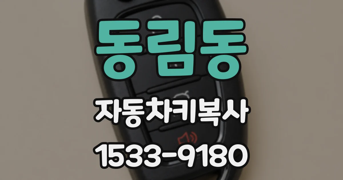 동림동 자동차키복사