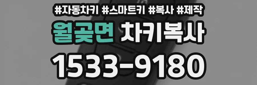 월곶면 차키복사