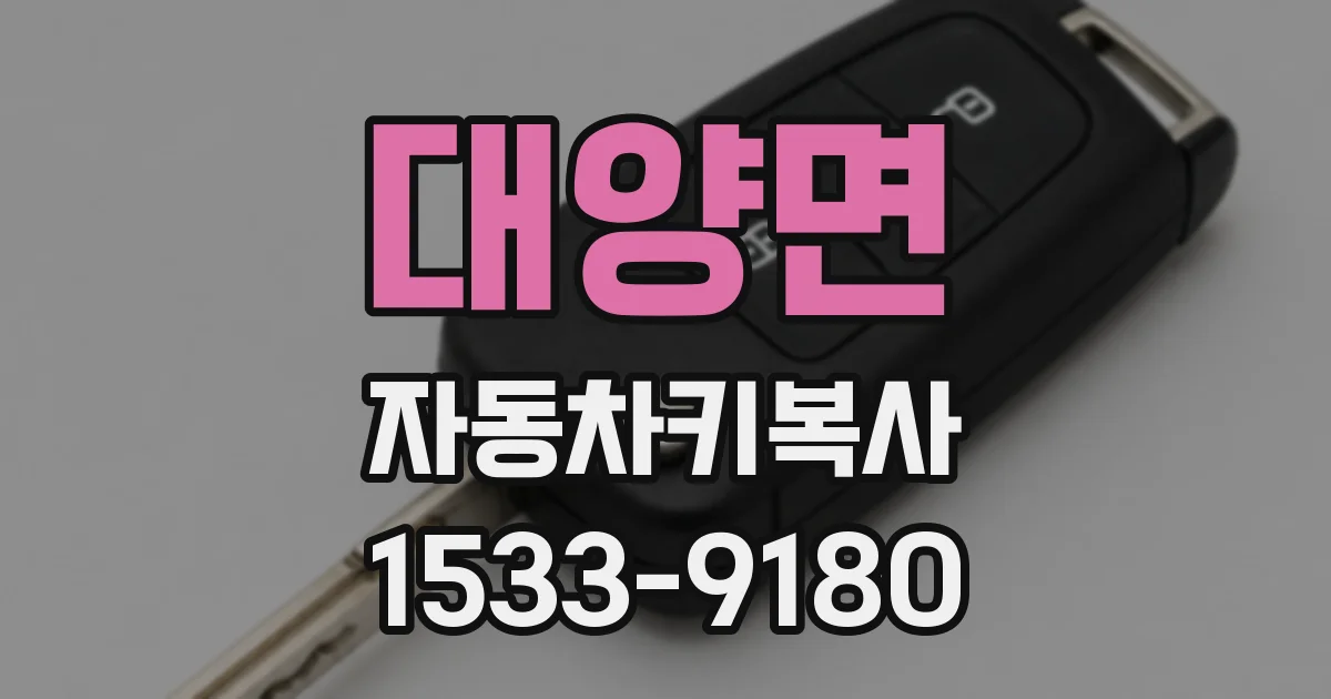 대양면 자동차키복사