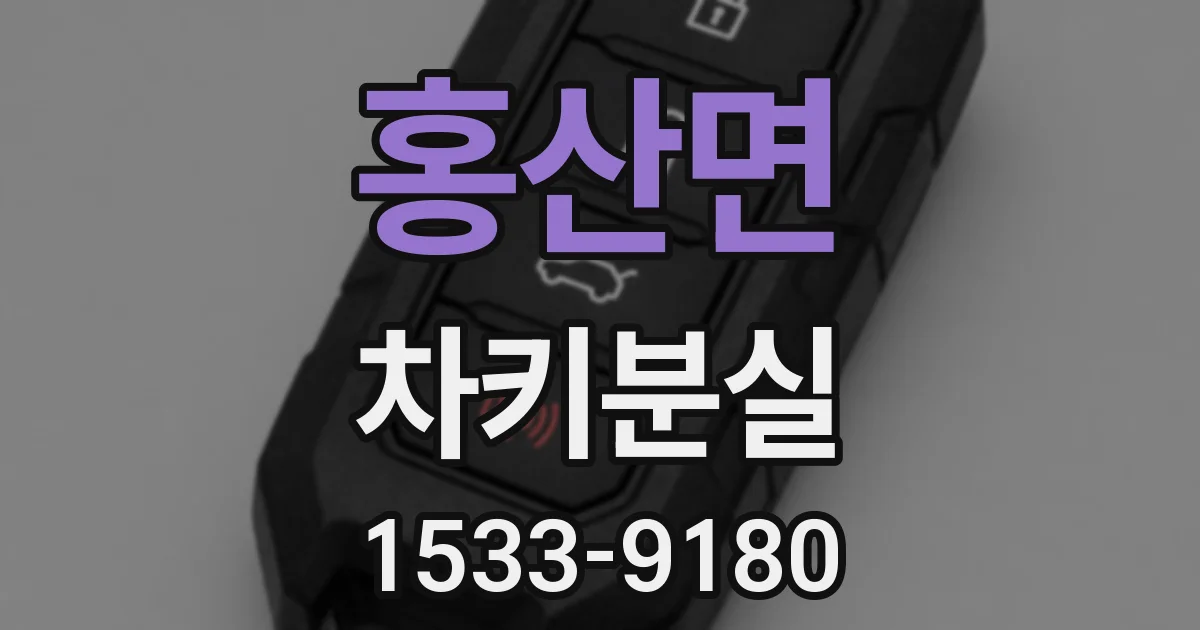 홍산면 차키분실