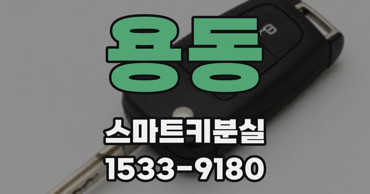 용동 스마트키분실