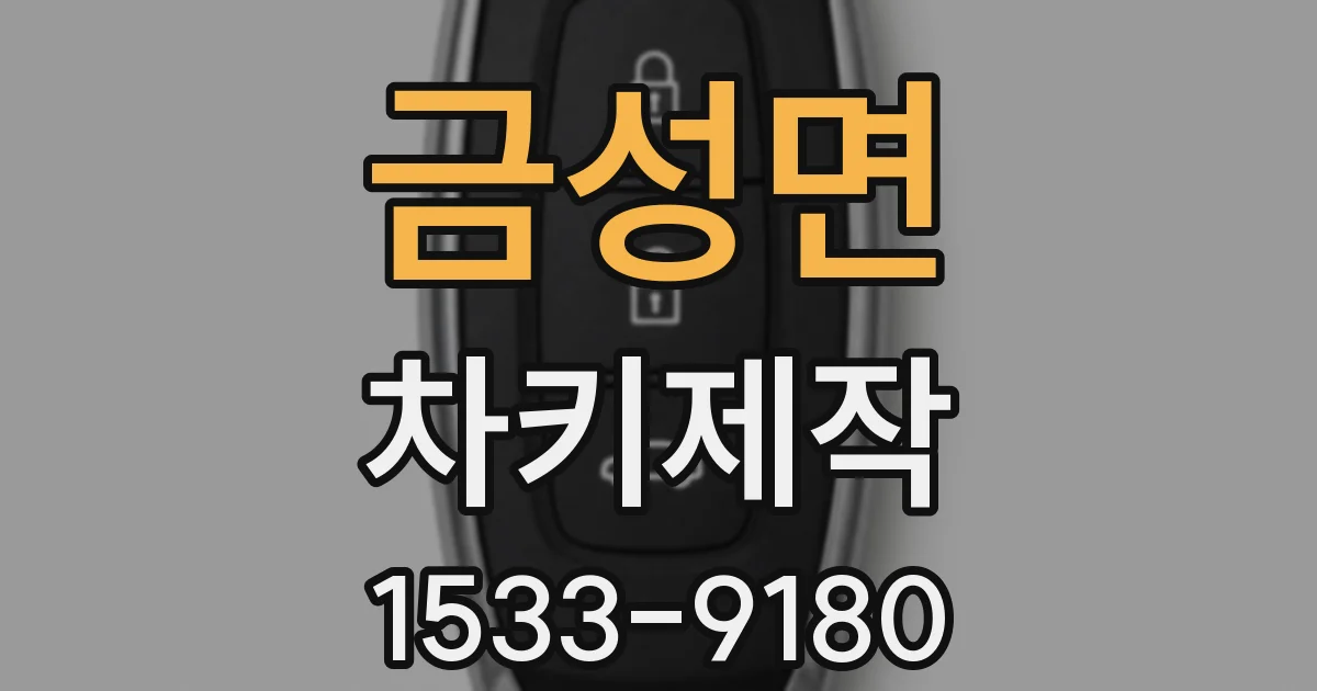 금성면 차키제작