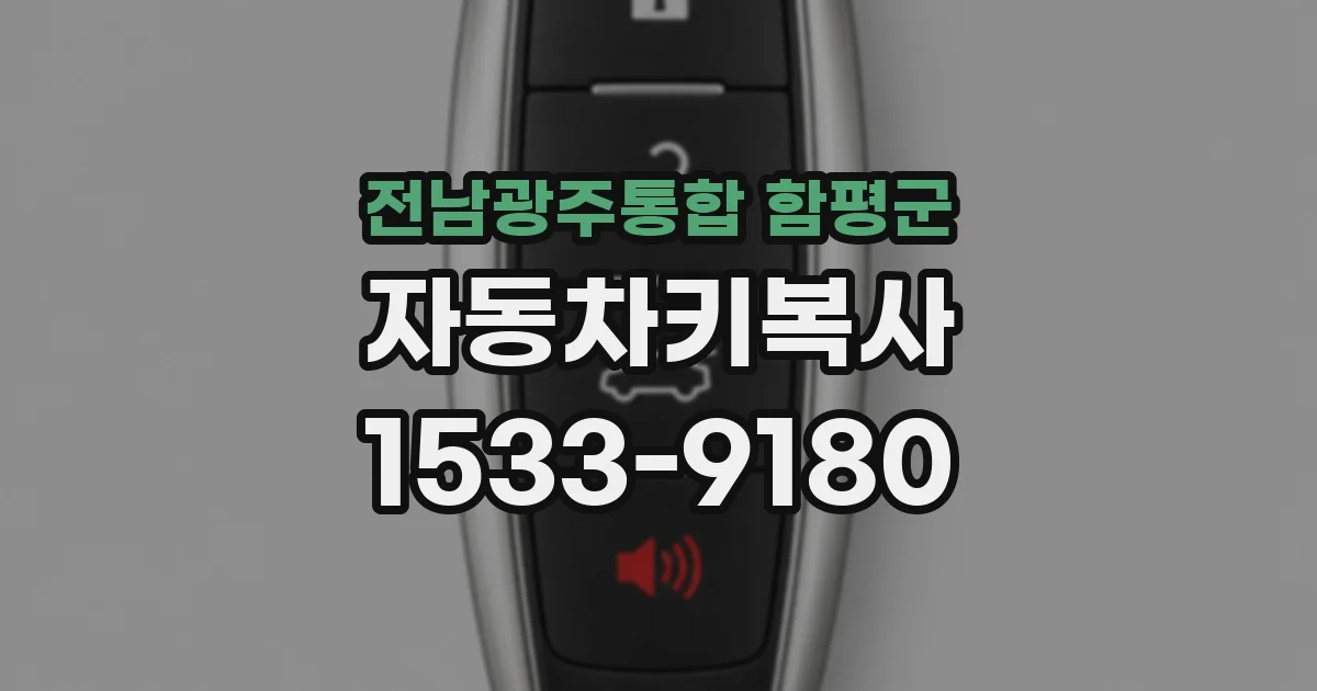 전남광주통합 함평군 자동차키복사
