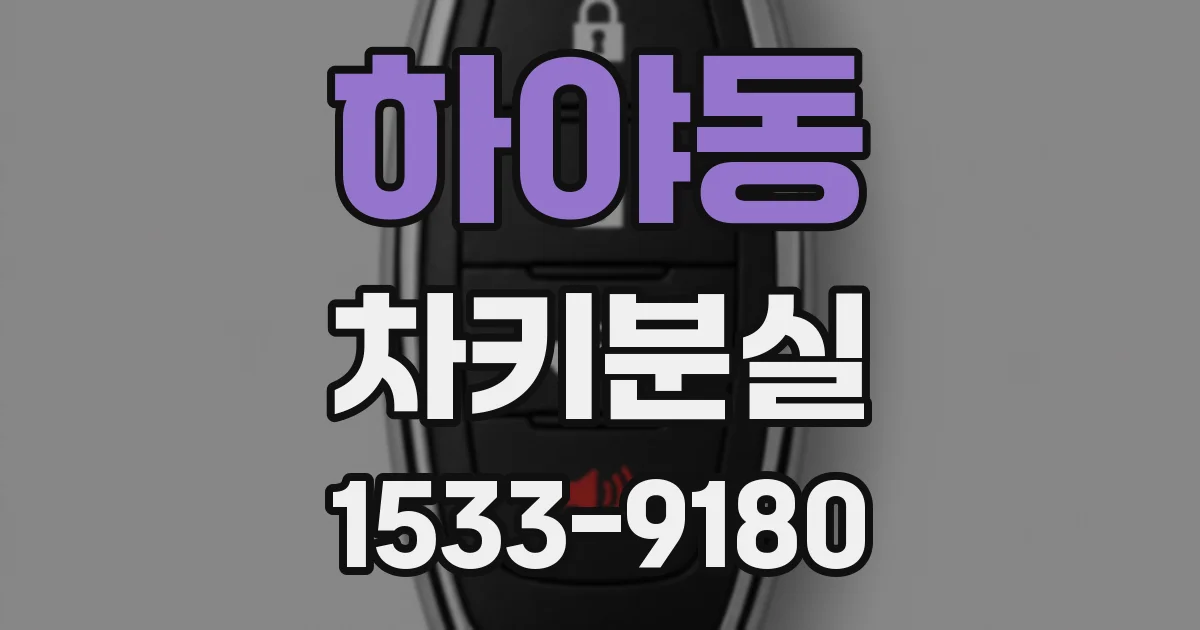 하야동 차키분실