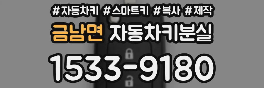 금남면 자동차키분실