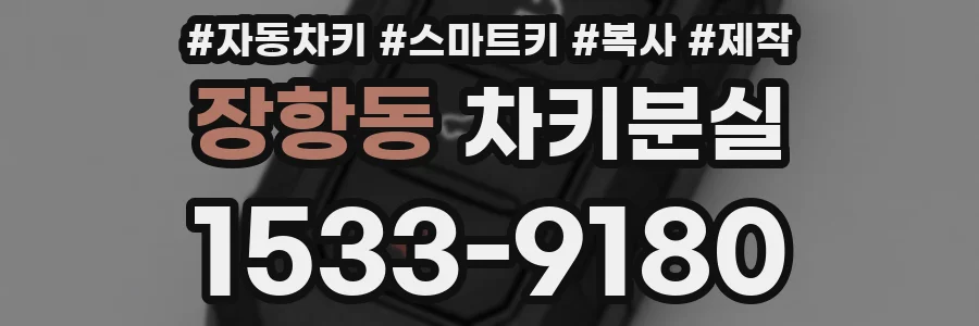 장항동 차키분실
