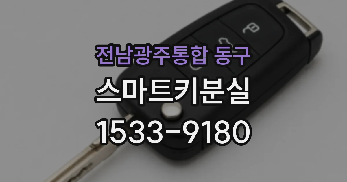 전남광주통합 동구 스마트키분실