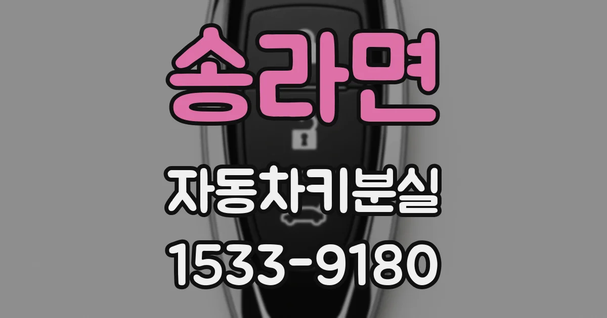 송라면 자동차키분실