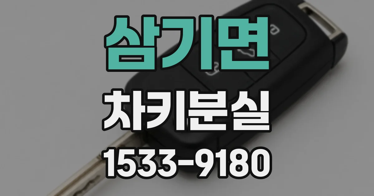삼기면 차키분실