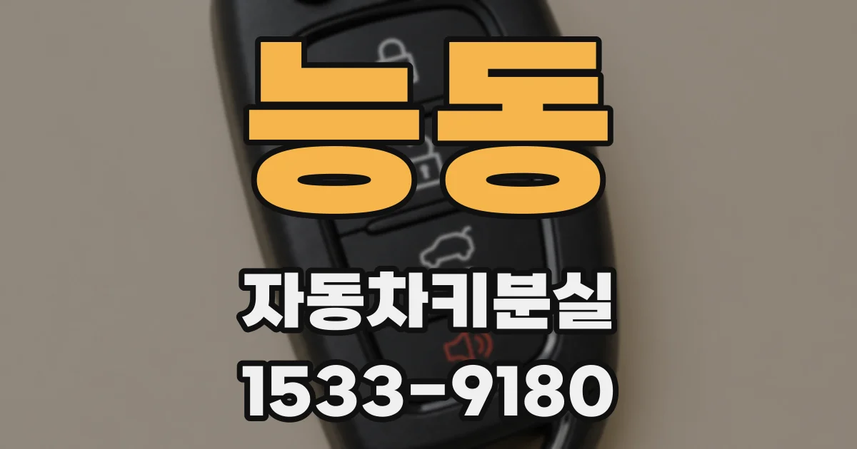 능동 자동차키분실