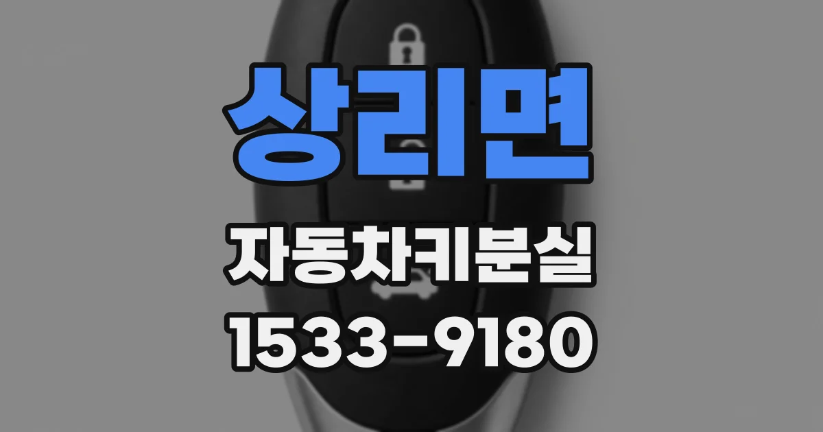 상리면 자동차키분실