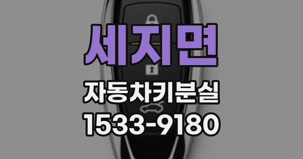 세지면 자동차키분실