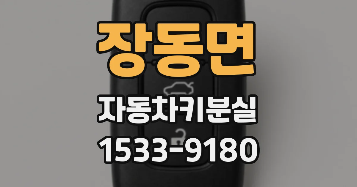 장동면 자동차키분실
