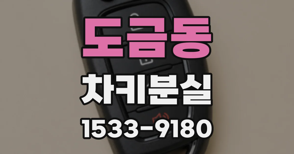 도금동 차키분실