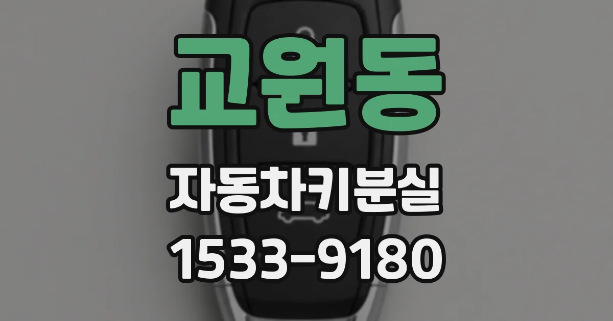 교원동 자동차키분실