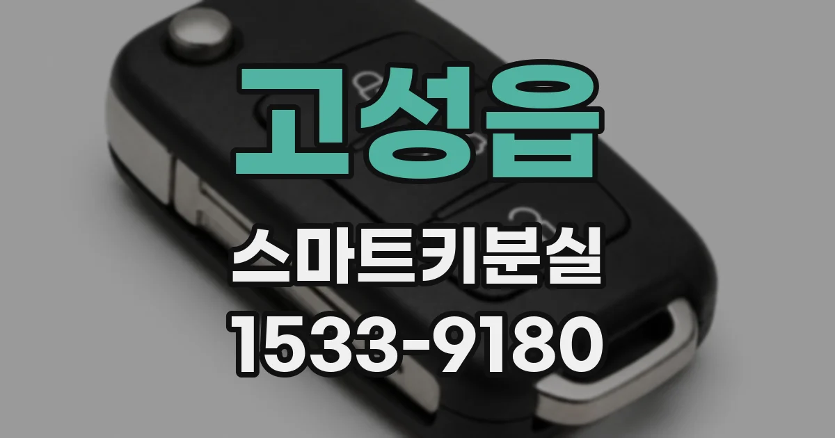 고성읍 스마트키분실