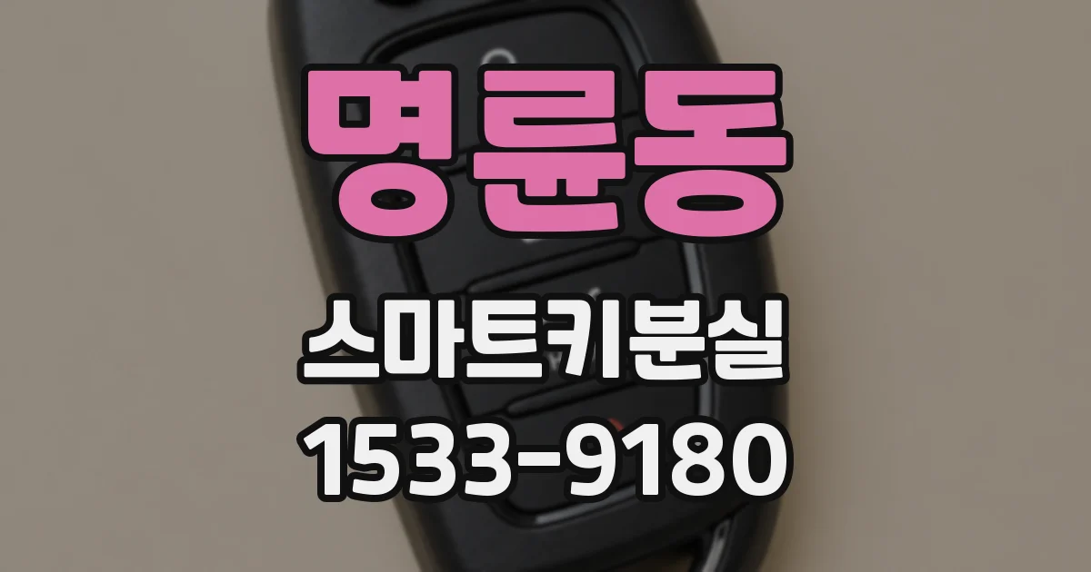 명륜동 스마트키분실