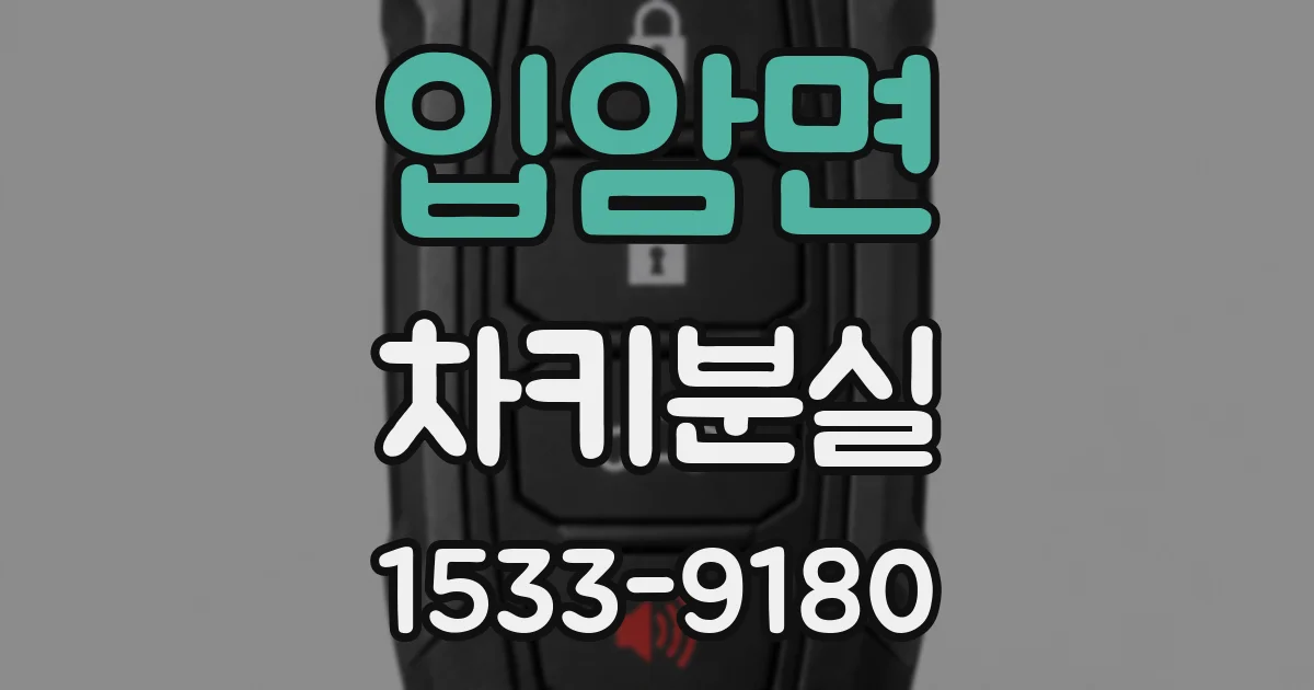 입암면 차키분실