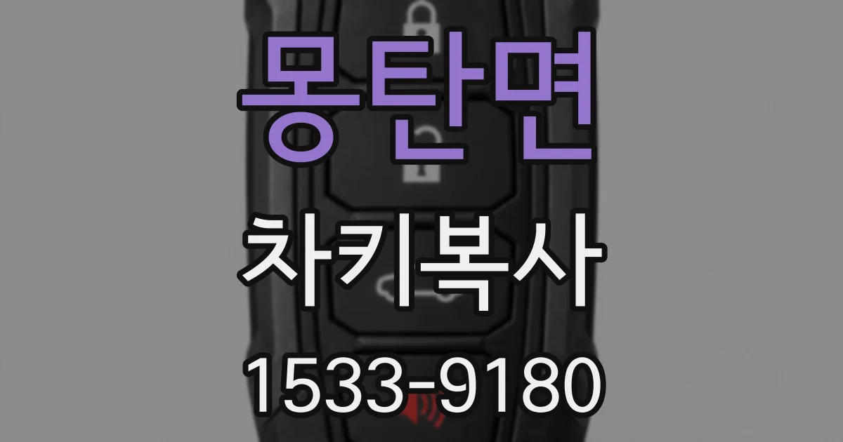 몽탄면 차키복사