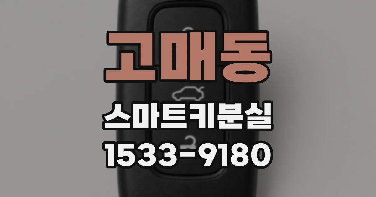 고매동 스마트키분실